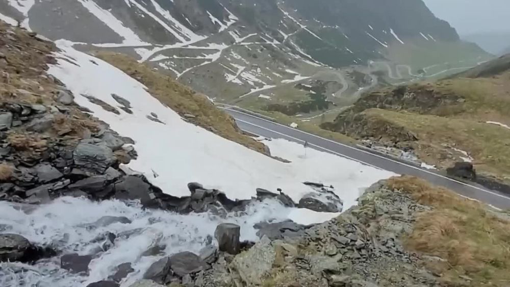 � ����� ������� ������ �������� ������