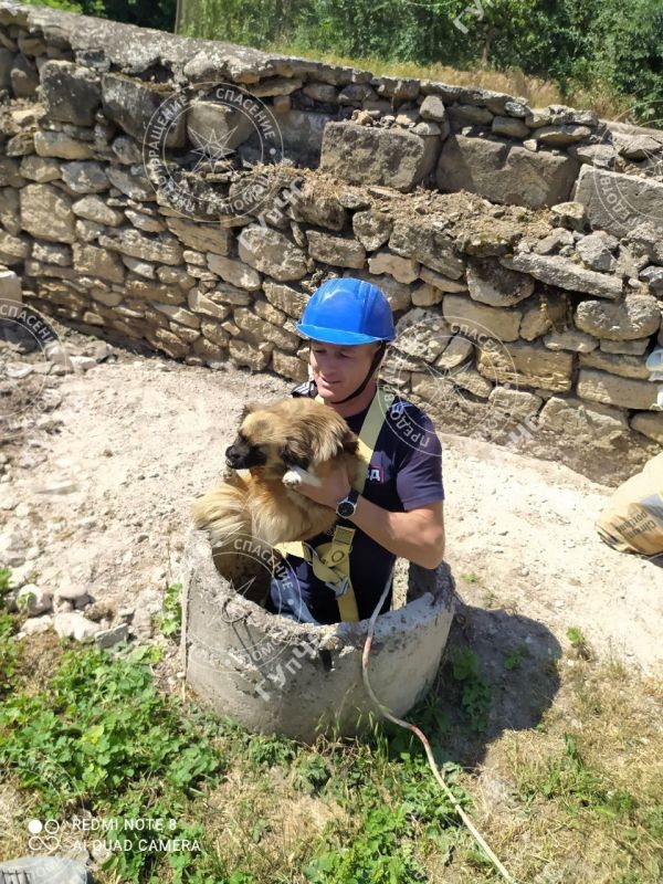 �������� ������� �� ������� � ������������