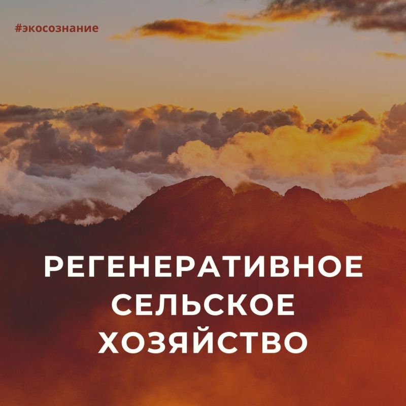 �������������� �������� ��������� � ��� ���������, ������������ �� ��, ����� �������� ������ ��������� ��������� ��������, ��������� ������������ �������� ����������