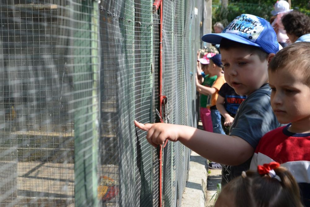 ��� - � �������!. � ���������� � ���� ������ ����� ������������ ��������� � ������� �������, �������� ��� ������