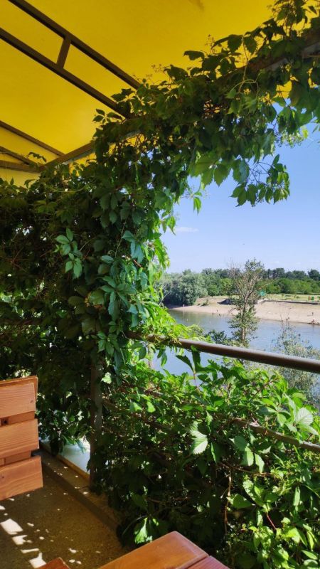 �� �� ���� ���! ������� "��������" ����� ����������