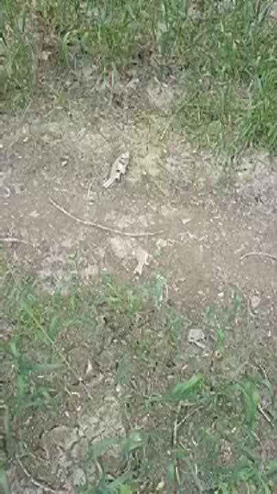 � ������� �������� ��������� ����� �������� ����