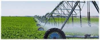 ������ ���� ��� ������ ����������� � 26% �� 20%