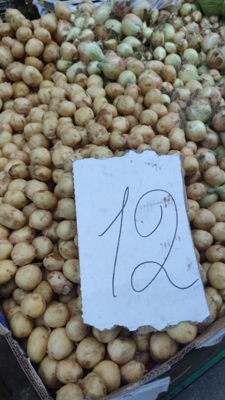 ������� �������� ��� �� 12 ������