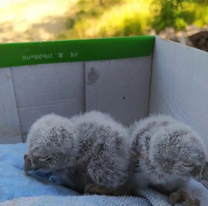 ��������� ���� � ������-���� �� ���������������