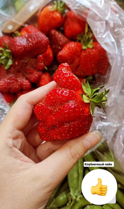 ���������� ����. ������� �� ����� ���������