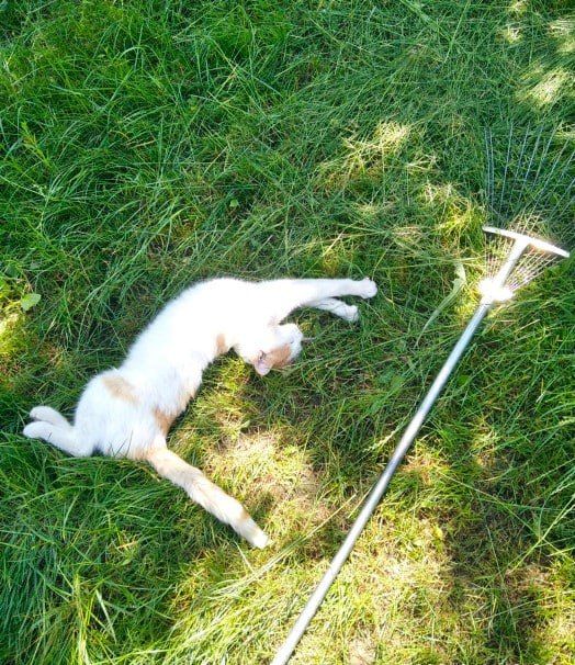 ������� � �����. ����� 2