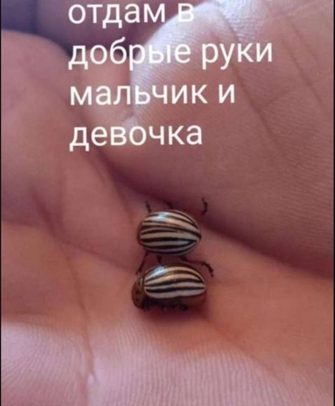 �������� ������� ������� �������������