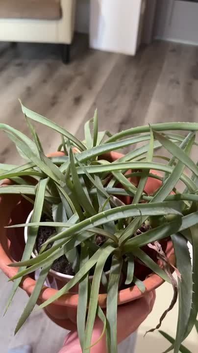 ����� 11. �� ���������