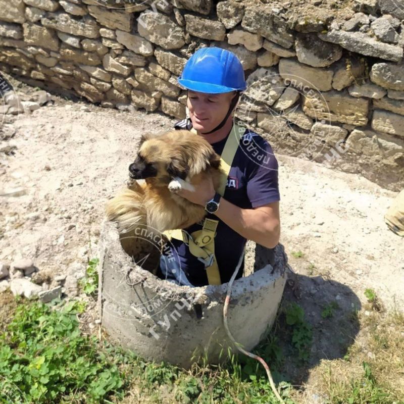 ������ �������� ��������