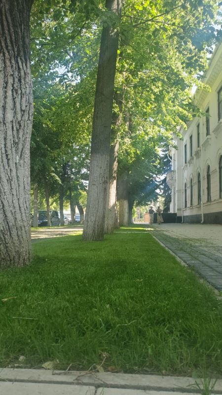 ����� �������� �����, ����� ���� � �������� ��������