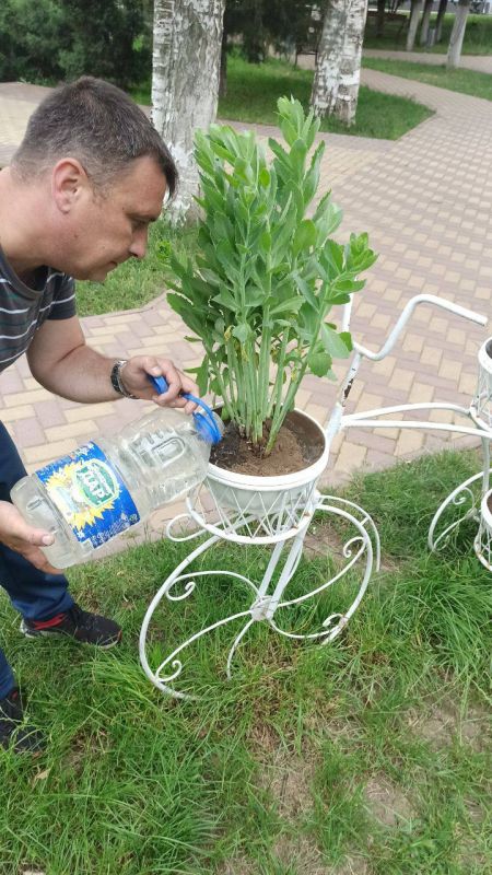 ������������� ����������� ������������ � ��������� �����