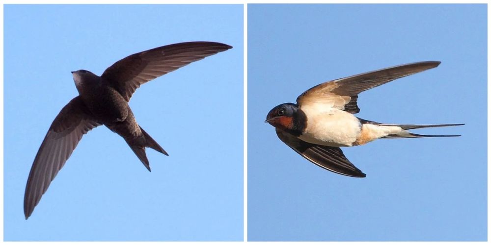 ����� ��������� �� ������ �����, ����� ���������� � ����, ������ ����� ������ ��� ����� ��������-�������, ��� ����� ���� �����