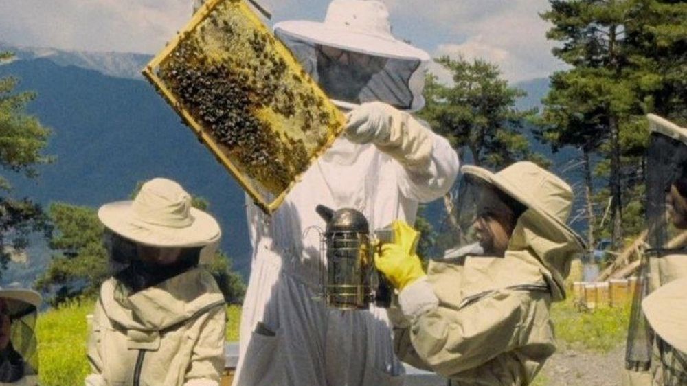 ���������� ����� ������������ �� ���� ���: �������������� ����� ������ ���������������� ���� ������ �� ��������� � ���