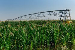 � ������������� ���������� ���� �����������