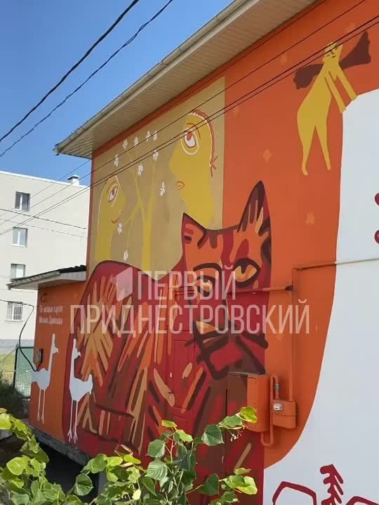 ����� - �� ������� ���������