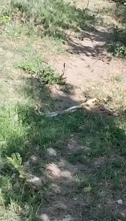 ����� � ������ � �������. ������� �������. ����� �������� ������ � ����� ������. ����� �������� ����������