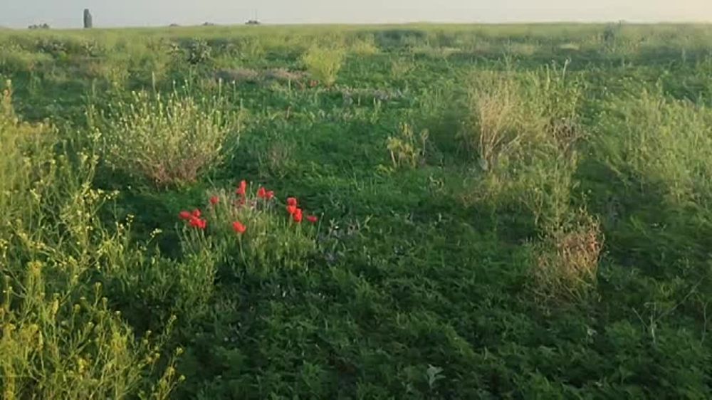 � ����������� ��������� ��������� ����� ���� ��������