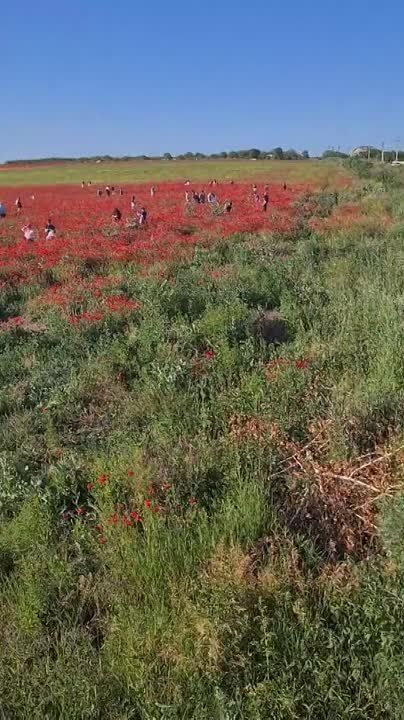 ����� ����, ��� � ��� ��������� ���������� � ������� ���� ��� ��������� � ������ ���� �������, � � ����������� ������ ���� - �������� ���..