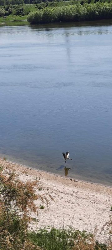 ���� �� ������� � ����������