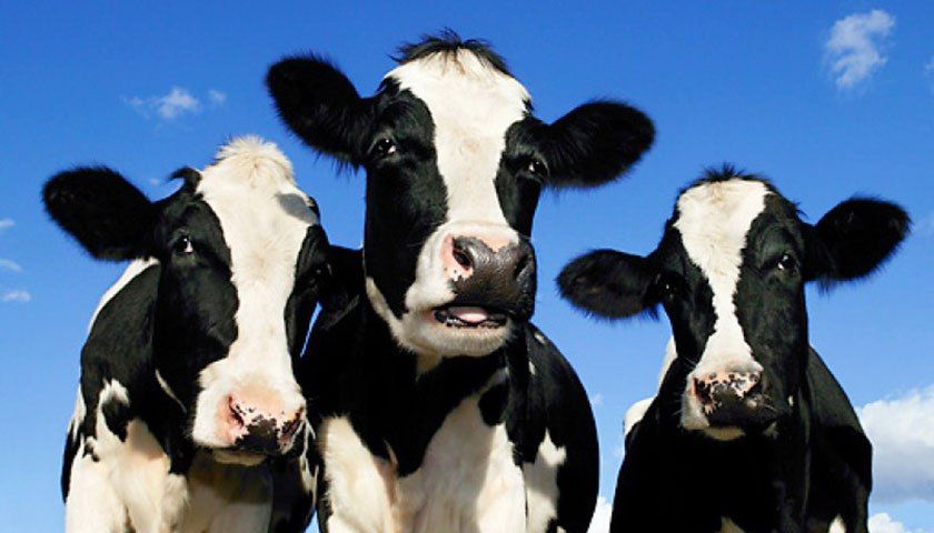 ������ �� ������ ������ � ��������� ������� �� ��������