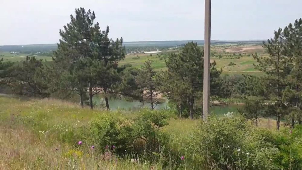 ���������� ���� ������� � ���� �����������