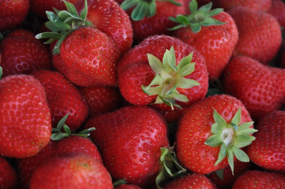 ������� ������ �� 7 ����