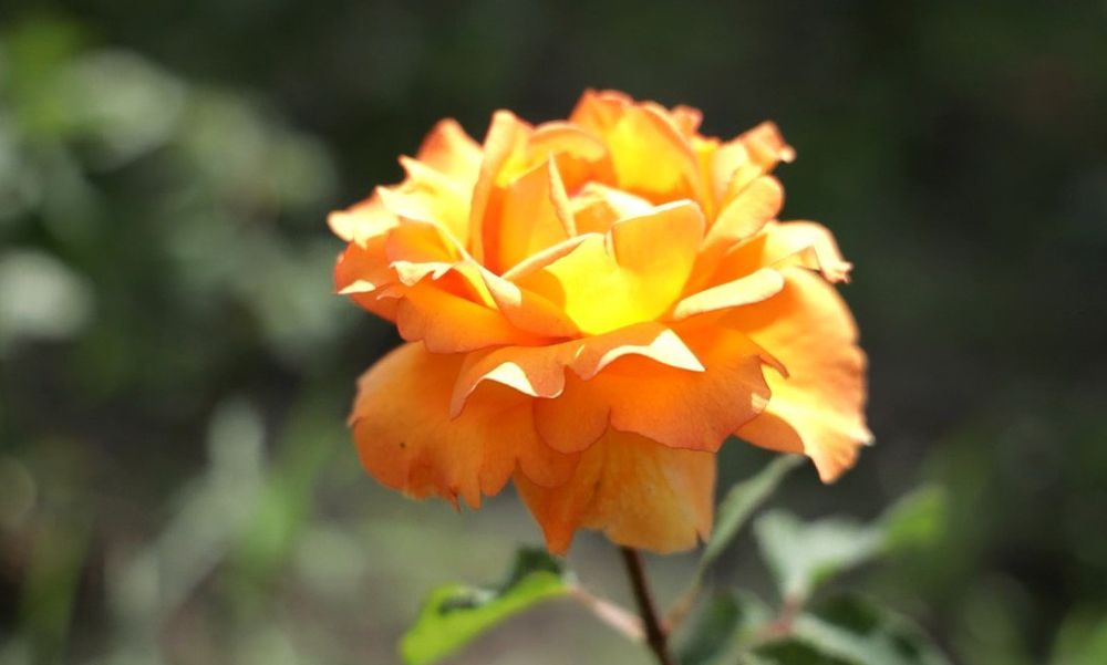 � ���� ���� � ��������� ������� ������� ��������� ���� ����� ���� �� �����