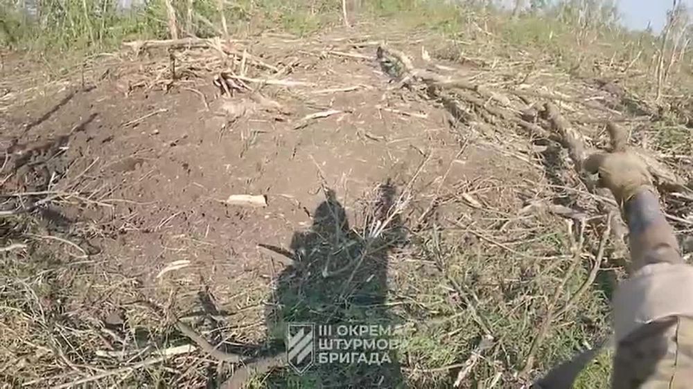 ���������� ������ ��������, ��� ��� ���������� �������� �������� ������� �� �� ��� ��������