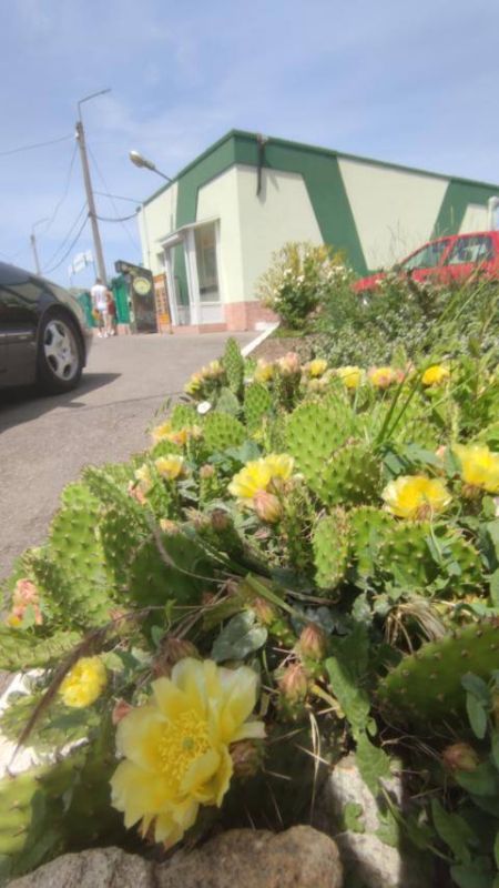 ����� ������ �������� �������� � ��������� �� ������� ��������� �����