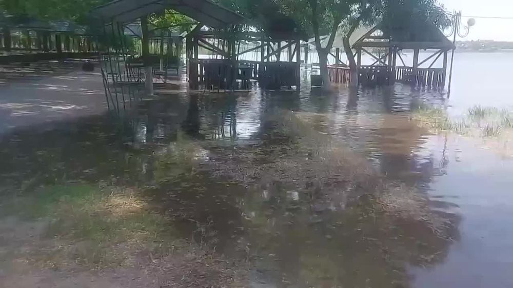 � ��������� ���� ������ �����������