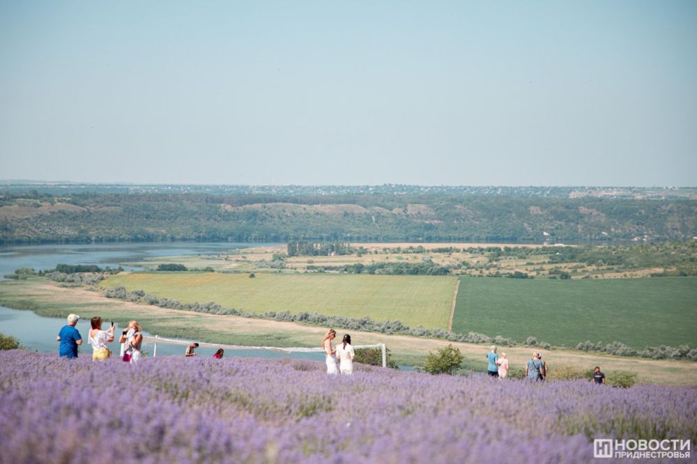 ������, ���������� ��������� ����������� ������� 31 ����, 1 � 2 ����