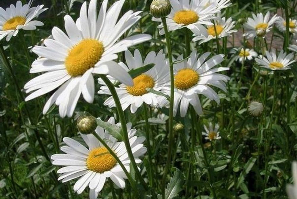 7 ���� �� ���� ���� �������� ���� ������������ ������� ��������� � ���� ����