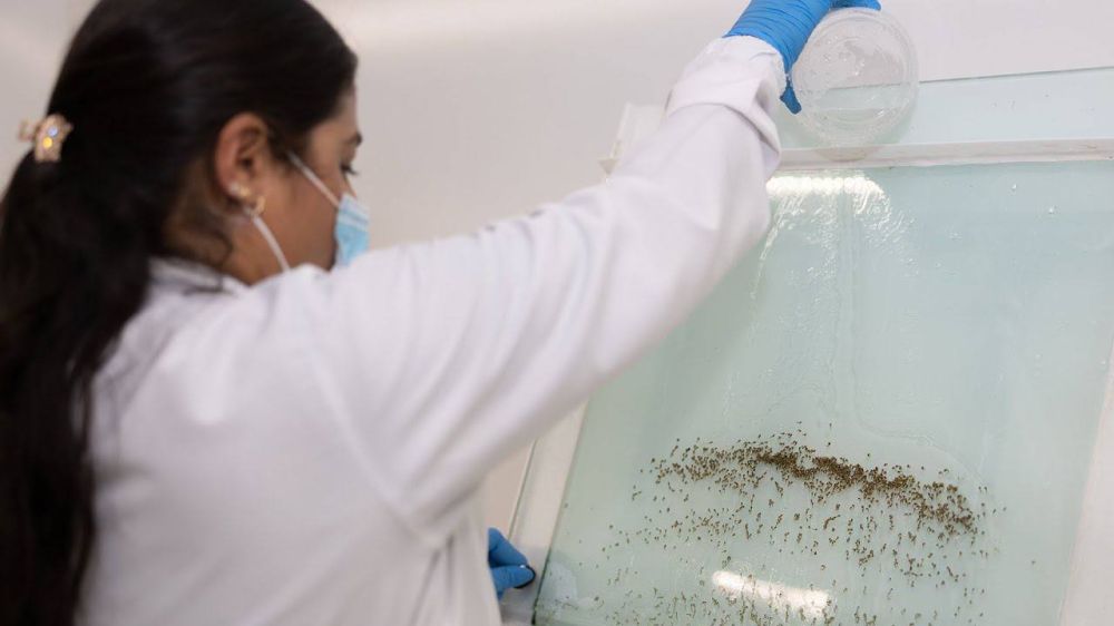 � �������� �������� ���������� � ���� ������� �� ������������ �������