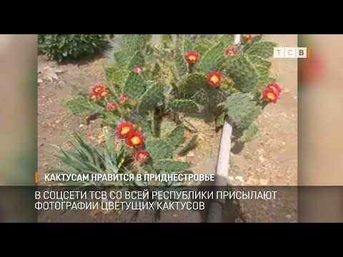 � ������� ��� �� ���� ���������� ��������� ���������� �������� ��������. ��� �������� ��� ��� ����� ��� ������ �������? � ���� �������� �� ���������� � ����������� �����������. ���������, � ��������� ���� ������� �������