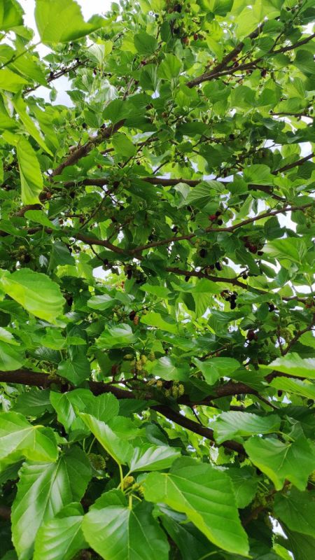 ����� "�� ���� ��� ����������!" ������