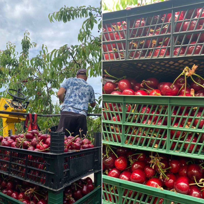 �� ������� ��������� �������� ������ �������