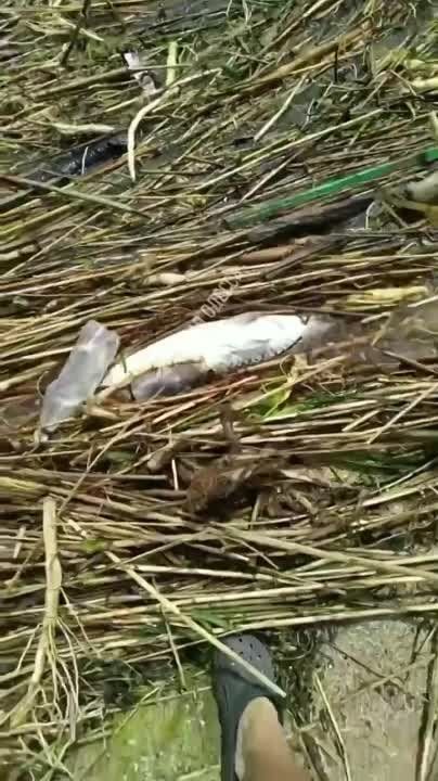 ���������, ��� �����! � ��� ���-�� ��� �������