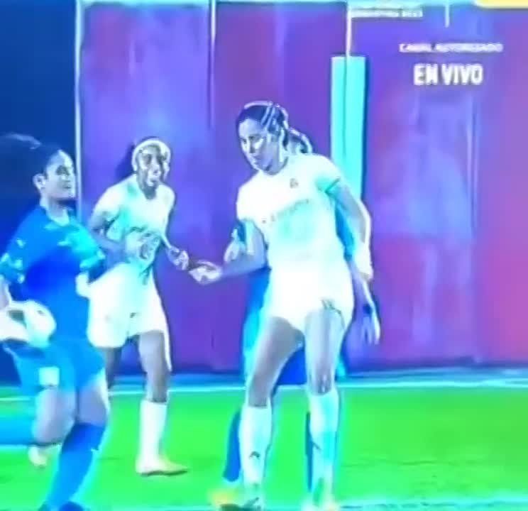 ������� ������ ���������