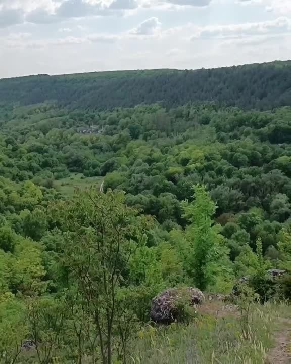 �� ������� � ����-������