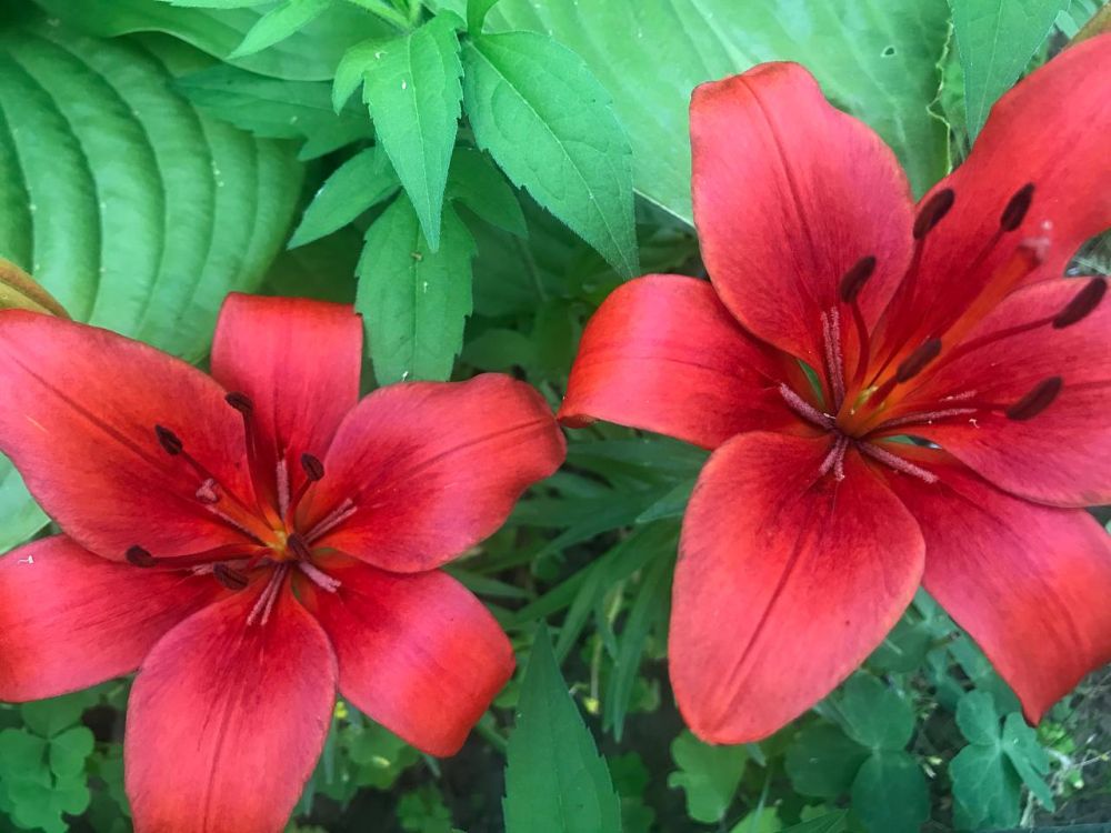 9 ���� ��������� ���������� ����������, ��� �������