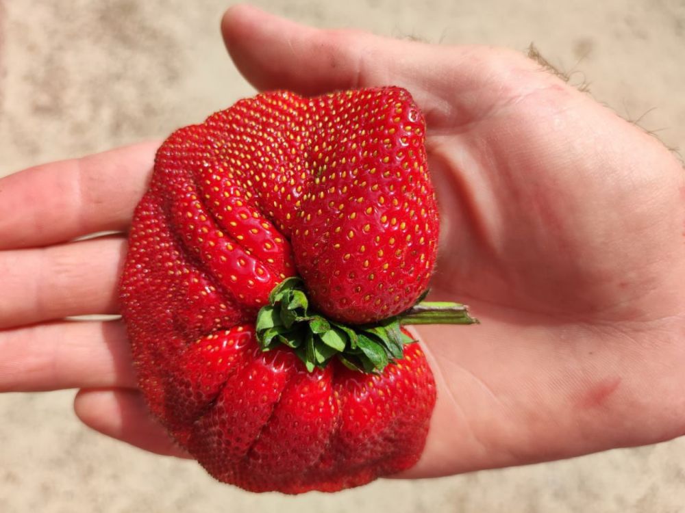 �������� ��������� ����� � �������