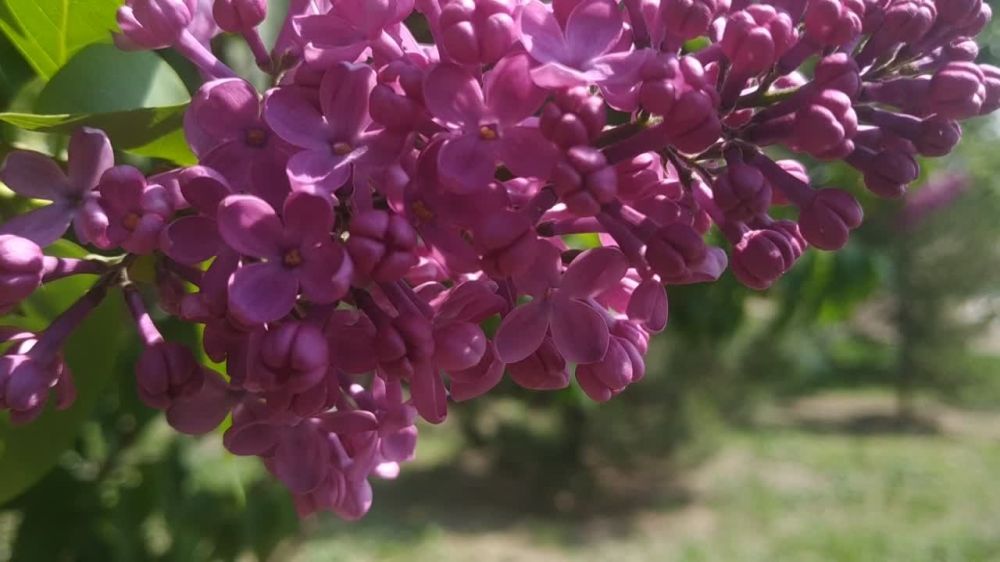 ������� ������. �������, 8 ����, ��������� ���������� ����������, ��� �������