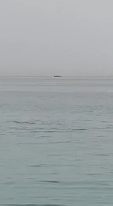 ���������� ����� ����� �����, ��� ����������� �� ������ ����� �����