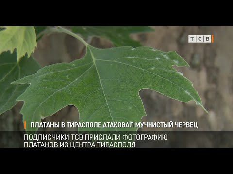 ���������� ��� �������� ��� ���������� �������� �� ������ ���������. �� ������� �������� ����� ���� � ��� ��������. ��������� ��� ������ � ��� ����� � ���������, �� �������� � ������������