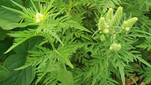 �������� - ��� �� ������ ����������� ������, ������� ������ ���������� �� �������, �� � ���������� ��������