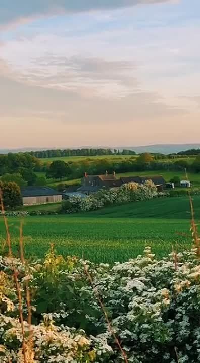 ��������� ������ � �������� ������ ��������!