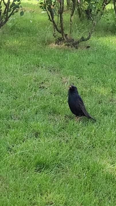 � ������� ������ �������� ���������� �������� ������ �������