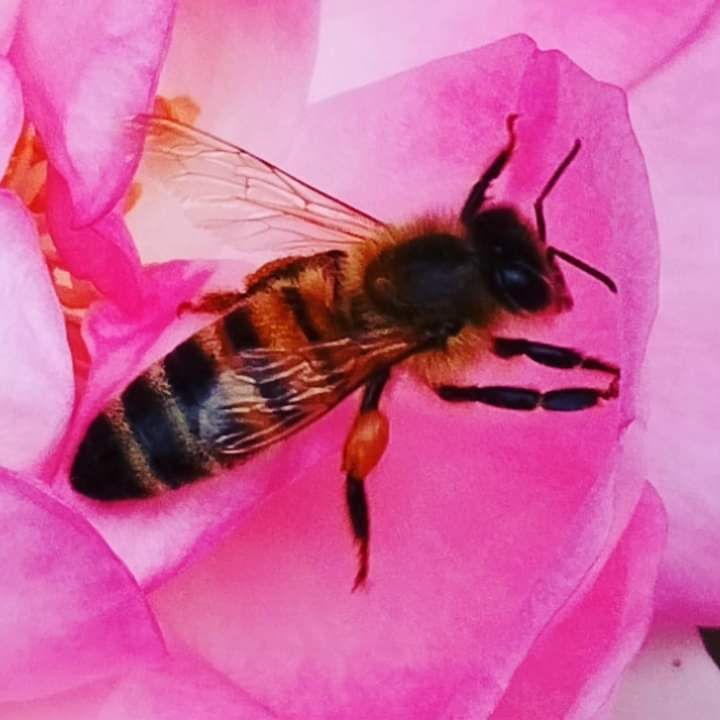 � ���� ��������������.. ���� ������� ���������