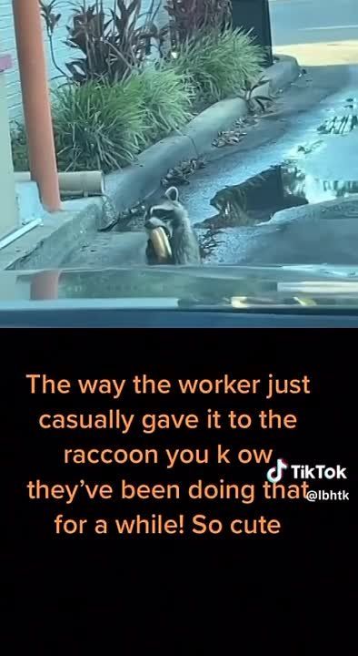 ���� ������� ������ ����� � �����